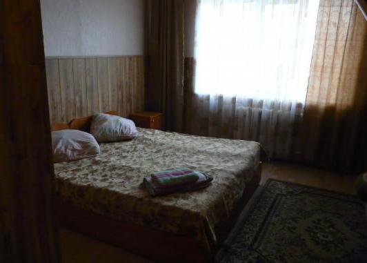 Leninsky District의 옴 스크에 위치한 저렴한 호텔