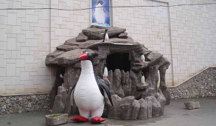 남쪽에있는 펭귄? 예, 리조트에 Lazarevsky penguinarium이 있습니다!